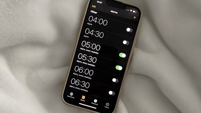 Arayarak alarm görevi gören erkekten olur mu?