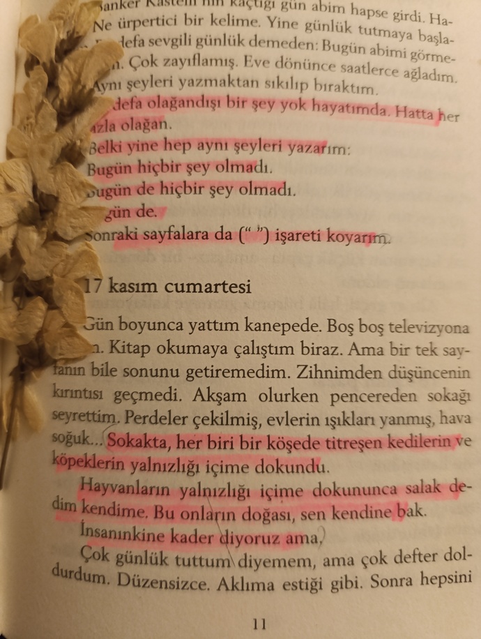 En son okuduğunuz kitabın en sevdiğiniz kısmı ne?