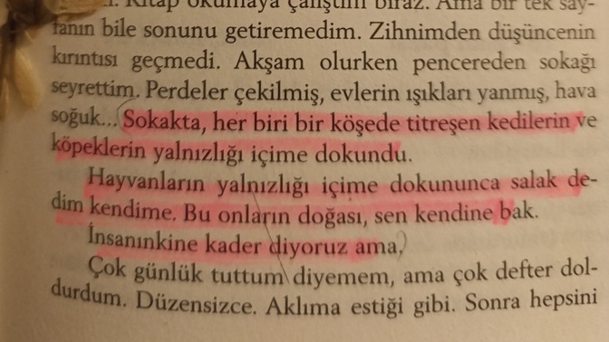 En son okuduğunuz kitabın en sevdiğiniz kısmı ne?