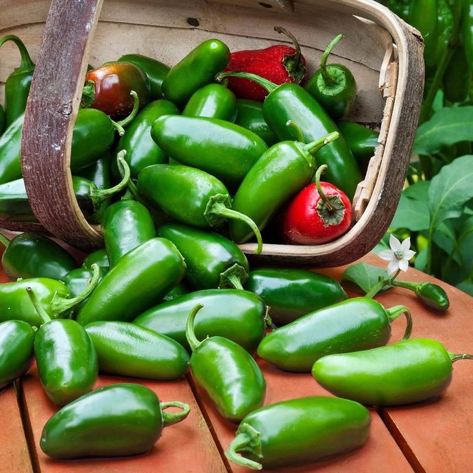 Jalapeno biber hiç yediniz mi?