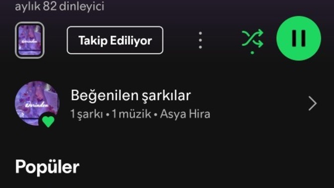 Şarkım sizce nasıll?