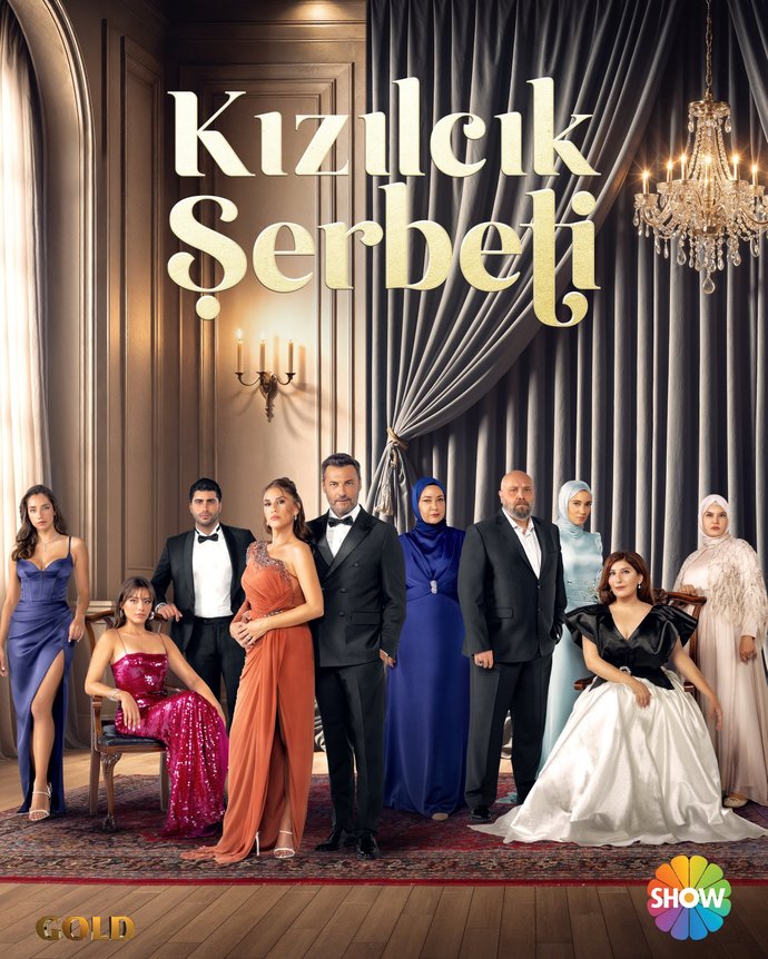 Bir dizide konuk oyuncu olma şansın olsa hangi diziyi seçerdin?