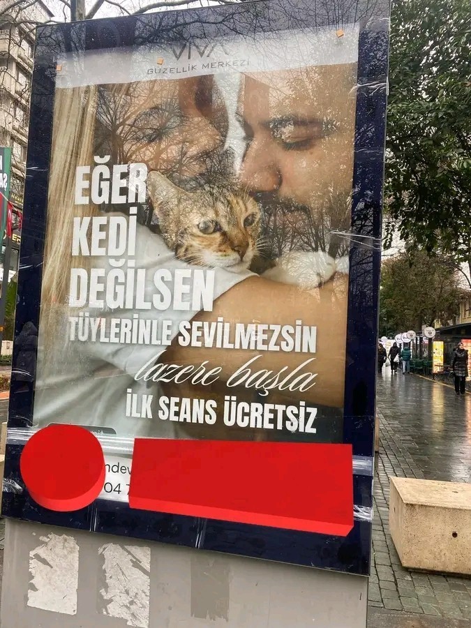 Kıllı tüylü insan sevilmez mi?