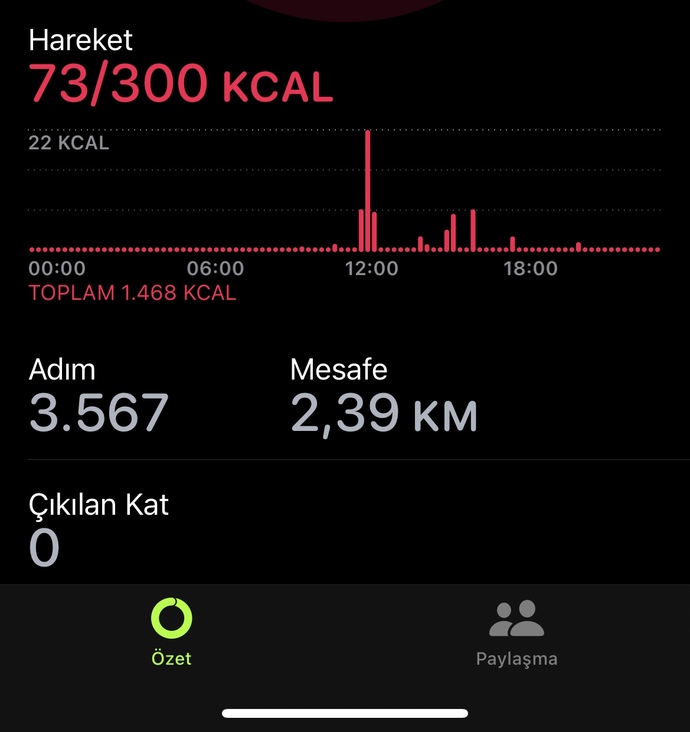 Bugün ne kadar adım attınız 🤔?