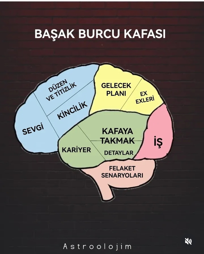 Burcunuza göre kafa yapınız nasıl çalışıyor?