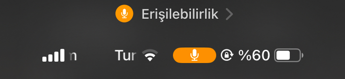 İPhone turuncu mikrofon erişilebilirlik?