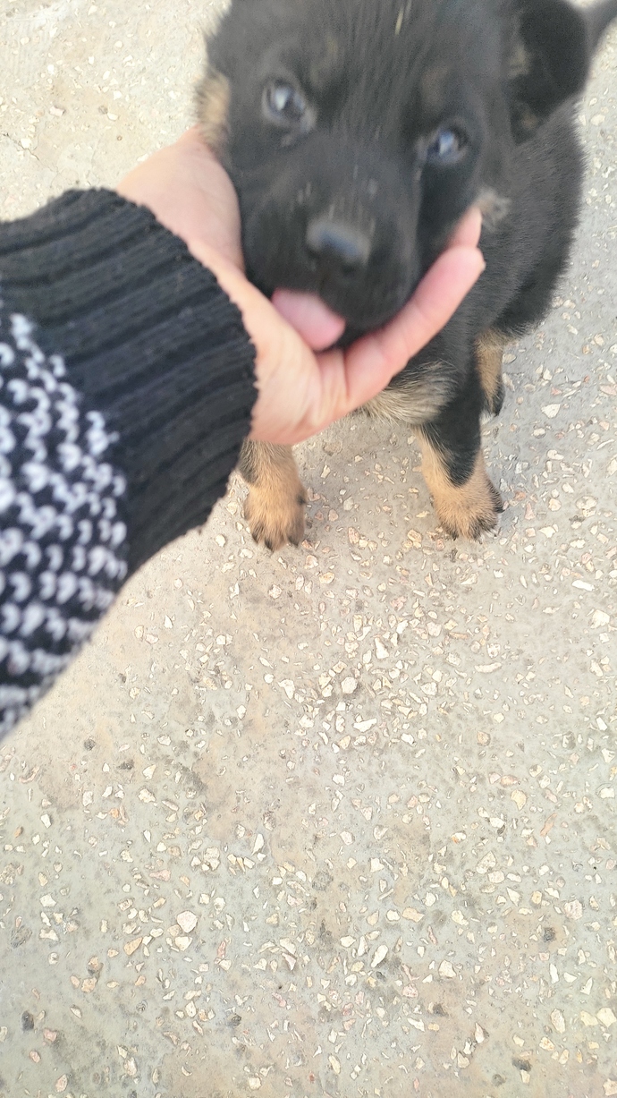 Bu yakışıklı ile başım dertte ne yapmalıyım🥰?