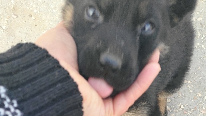 Bu yakışıklı ile başım dertte ne yapmalıyım🥰?