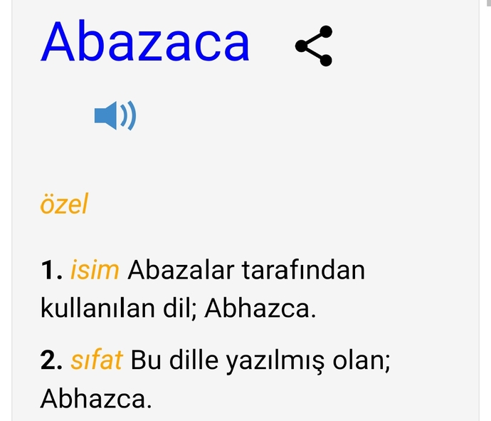 Slmm burdakiler neden hep Abazaca?