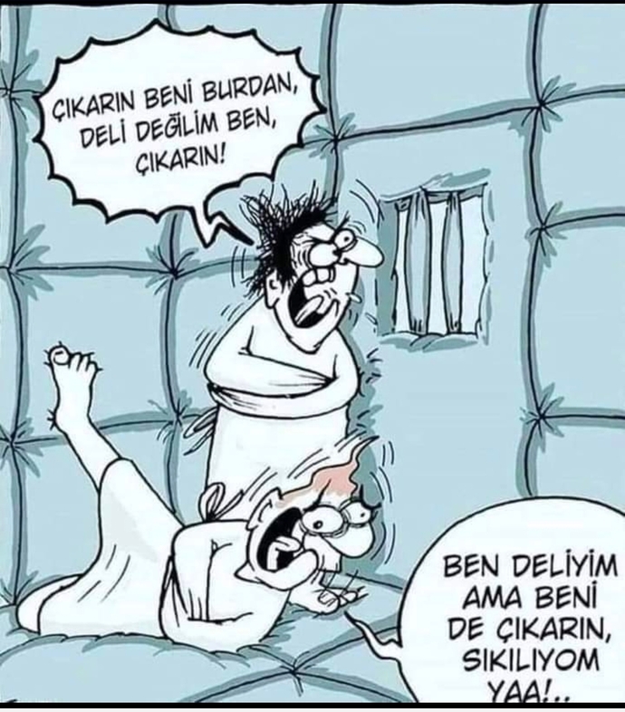 Siz deli misiniz, değil misiniz?