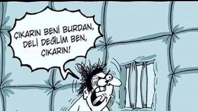 Siz deli misiniz, değil misiniz?