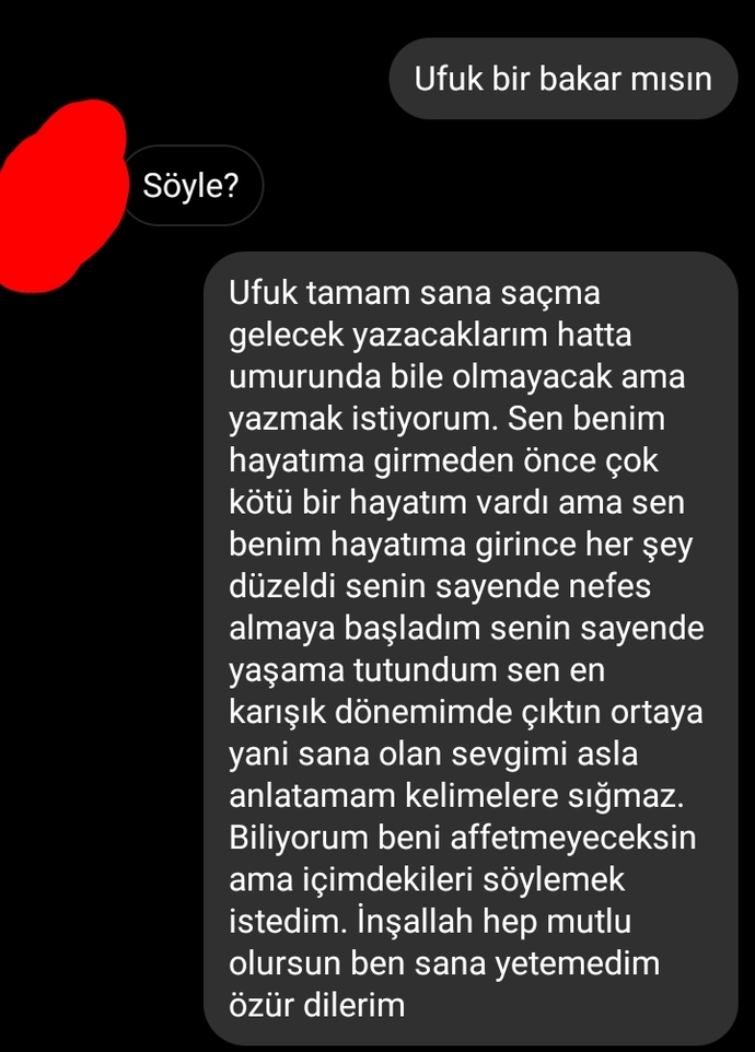 Eski sevgilimin yazdığı şeylere bakın. Erkekler niye bu kadar acımasız?