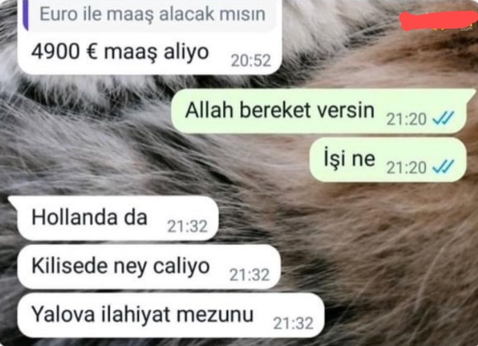 Hayal ettiğiniz mesleği mi yapıyorsunuz?