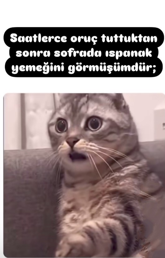 Sizin ruh haliniz nasıl?