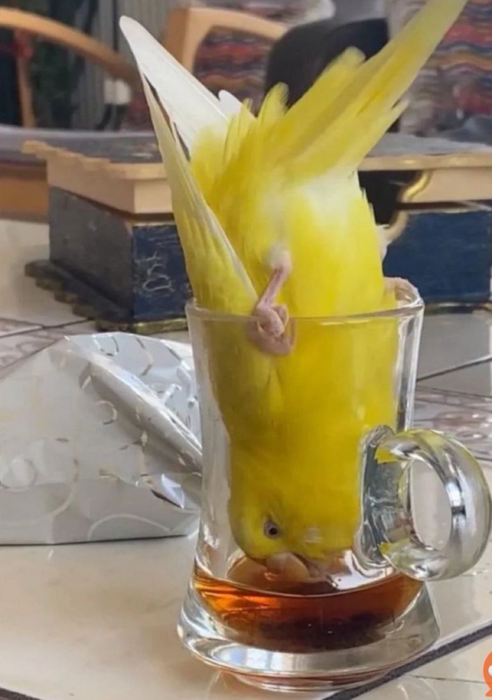 Çaysız bir gün geçer mi?