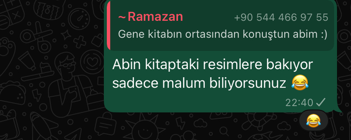 İnsanlara laf sokma gibi bir huyun var mı?