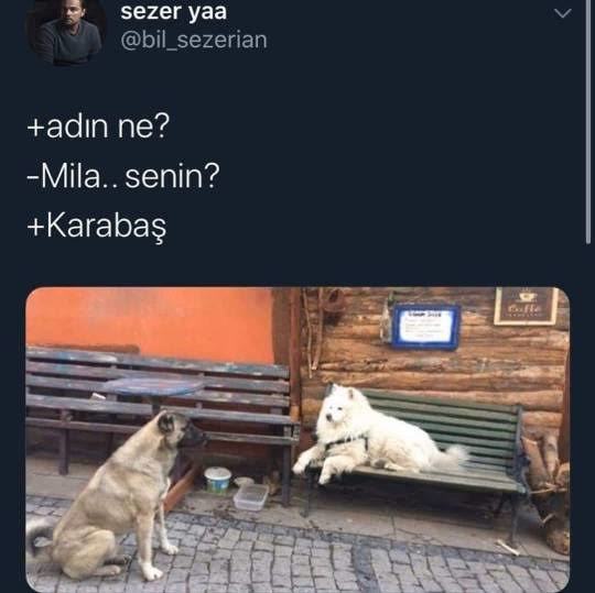 Bir çocukla konuşuyorum ama çocuk çok kültürlü ve elit. Kendimi ezik gibi hissediyorum. Ne yapmalıyım?
