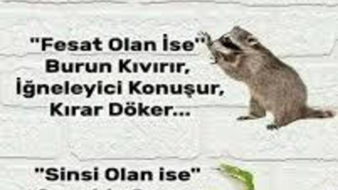 Duygularınızı belli eder misiniz?