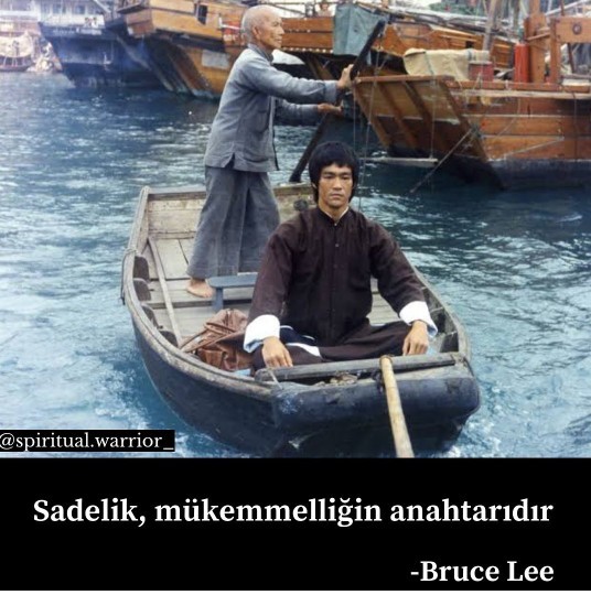 Muhammed Ali mi daha iyidir sporcu olarak yoksa Bruce Lee mi?
