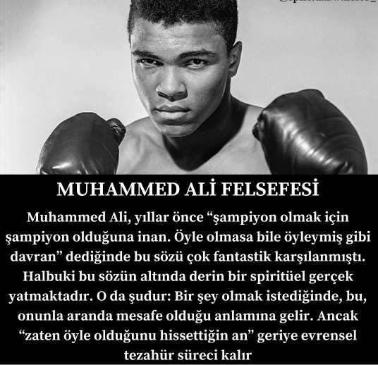 Muhammed Ali mi daha iyidir sporcu olarak yoksa Bruce Lee mi?