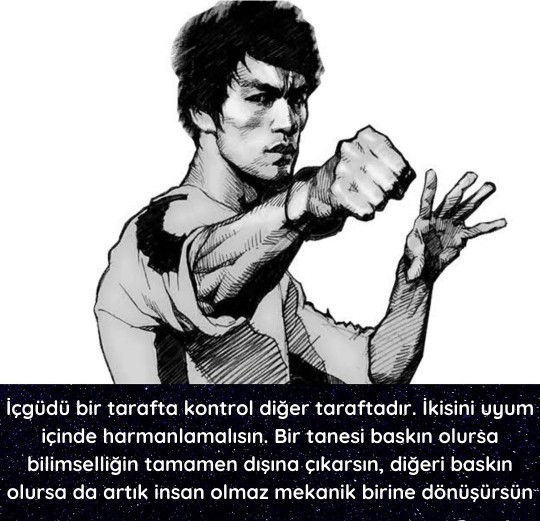 Muhammed Ali mi daha iyidir sporcu olarak yoksa Bruce Lee mi?