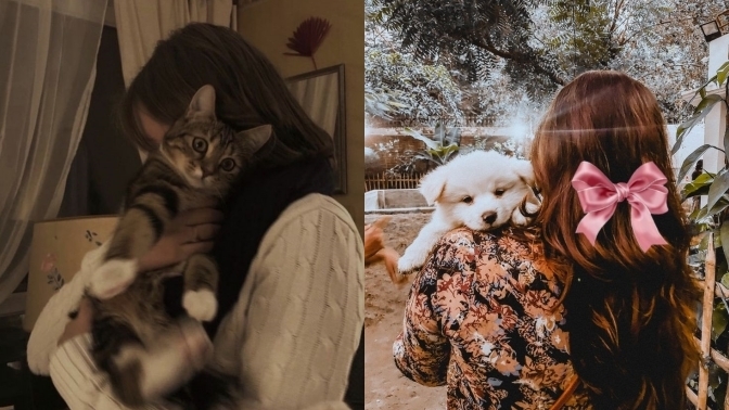 Köpek insanı mısın, kedi insanı mı?