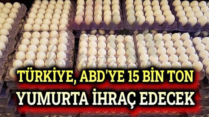 Türkiye ABD ye yumurta ihraç ederse yumurtaya zam gelir mi?