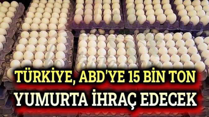 Türkiye ABD ye yumurta ihraç ederse yumurtaya zam gelir mi?