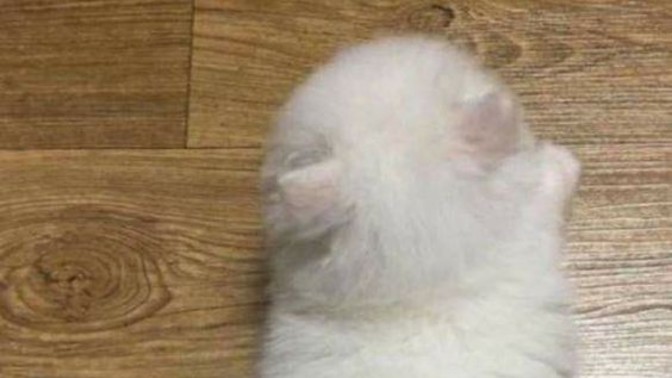 En sevdiğiniz yatış pozisyonu hangisi?