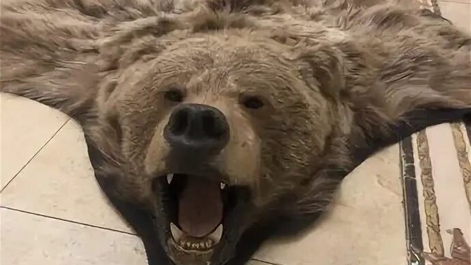 Benim ayı postu halım var aşırı kabarık kürkü var terziye götürüp palto yaptırmayı düşünüyorum ama halı olarak daha mı iyi durur?