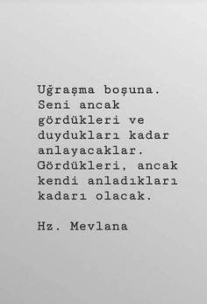 Kimin neyi anlamasını bekliyorsun?