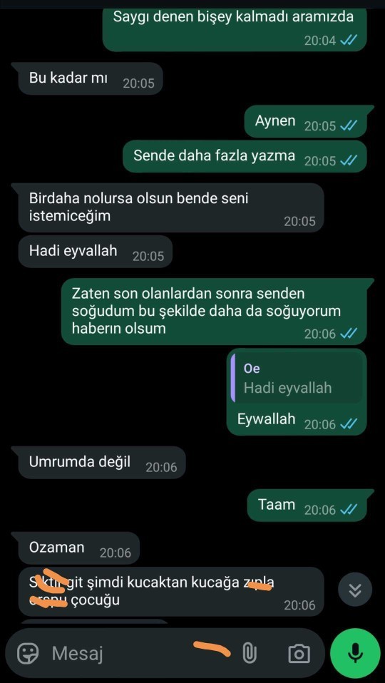 Küfür edip ayrıldıktan sonra bir ay içinde bana geri döndü. Niye böyle davranır?
