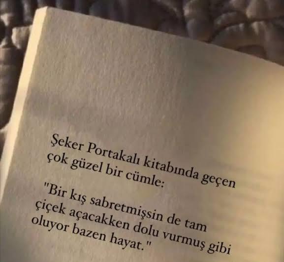 En sevdiğiniz kitap alıntısı nedir?