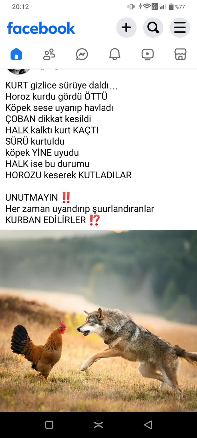 Horoz olmak suç muydu?