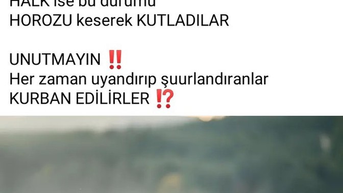 Horoz olmak suç muydu?