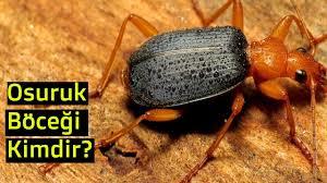 Anal yaparken gaz çıkmasını nasıl engelleyebilirim?