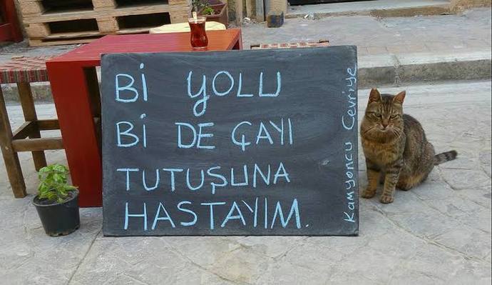"Tiryakisiyim" dediğiniz bir içecek var mı🍹☕️?