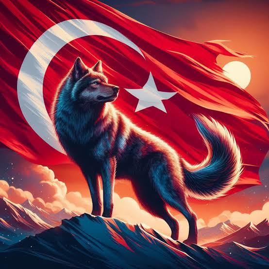 Görselini en iyi ifade eden kısa notunu buraya ekleyeb
