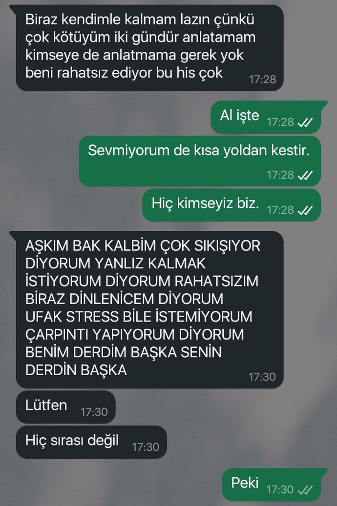 Sevmiyor mu acaba?