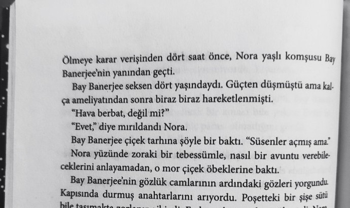 Okuduğun kitabın yirminci sayfasının ilk cümlesini yazar mısın?