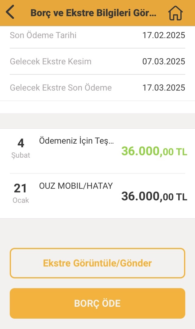 Trendyol taksit ödemesi?