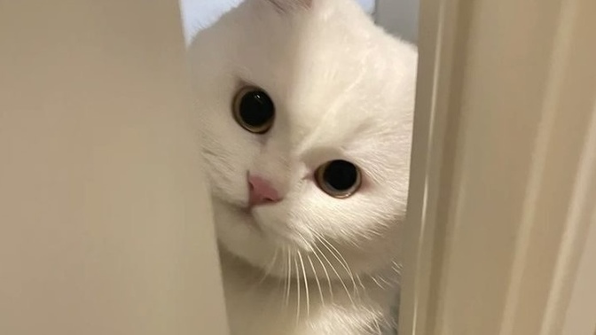 Sevgilinizle yaşadığınız bir tartışmayı, arkadaşlarınıza anlatır mısınız?