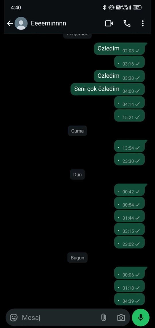 Eski sevgilim hakkında kafam karışık? Son konuşmamız?