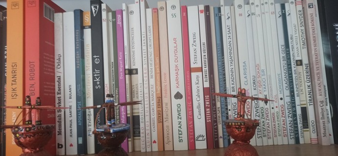 Kitaplığınızdaki düzen genelde nasıldır?