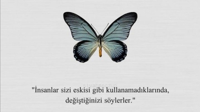 Sinsi insanları yüzlemeyi mi sessizce uzaklaşmayı tercih edersiniz?
