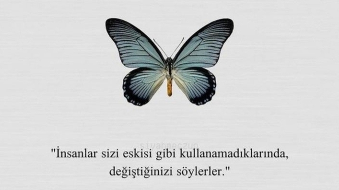 Sinsi insanları yüzlemeyi mi sessizce uzaklaşmayı tercih edersiniz?