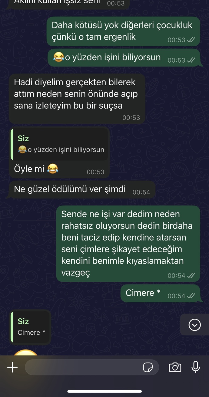 Eski kötü fotoğraflarımı kendine atan kardeşime ağır mı konuşmuşum?