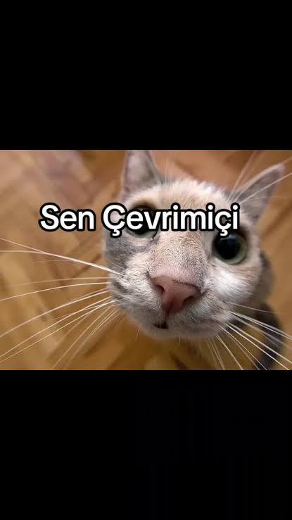 Kime müsaitsiniz bu gece?