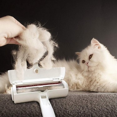 Halıdan kedi tüyleri nasıl çıkar?