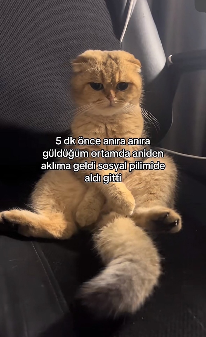 İlişkilerde ani duygu değişimleriniz olur mu?